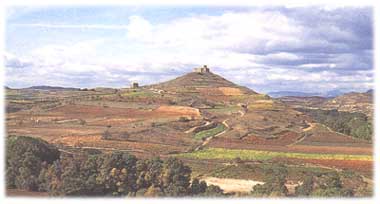 19a.jpg (18292 bytes)