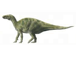7g.gif (6693 bytes)