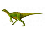 8g.gif (6332 bytes)