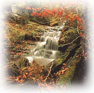 cascada2.jpg (33495 bytes)