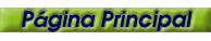 Pgina Principal