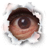 Gracias por visitar la Web de Cimas !!!!