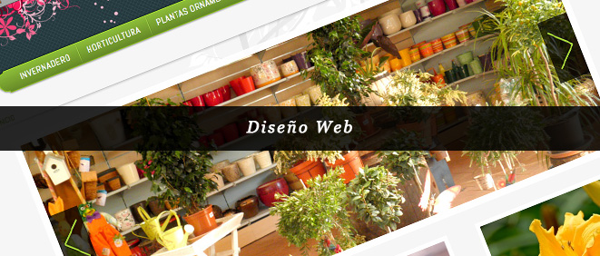 Diseño web