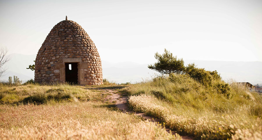 BODEGAS SAN PEDRO - PAISAJE 7
