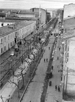 1960